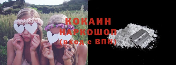 дживик Баксан
