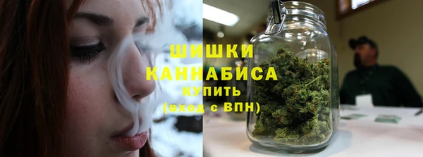 дживик Баксан