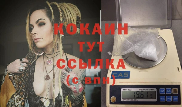 дживик Баксан